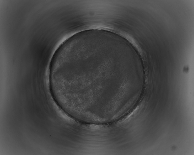 X0000101141032200807181250