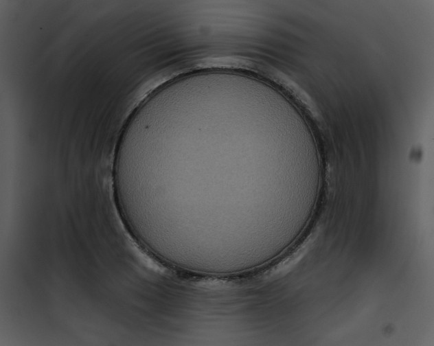 X0000101141033200807181250