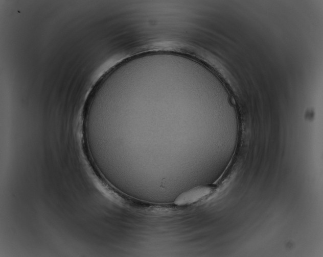 X0000101141034200807181250