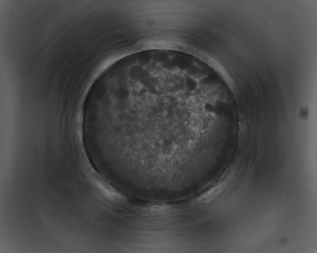 X0000101141035200807181250