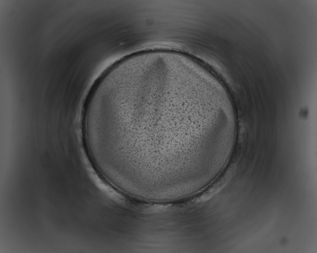 X0000101141038200807181250