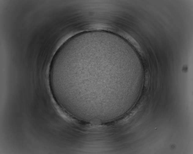 X0000101141039200807181250