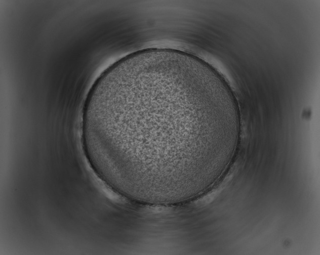 X0000101141040200807181250