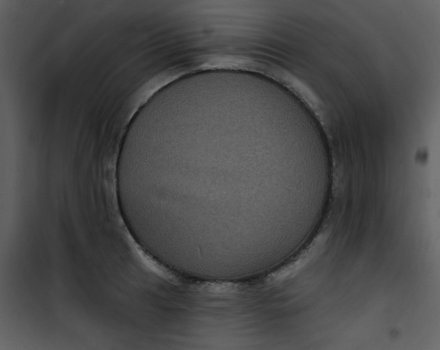 X0000101141041200807181250