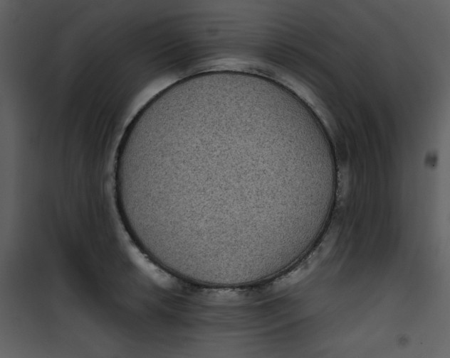 X0000101141042200807181250