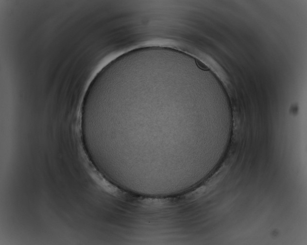 X0000101141044200807181250