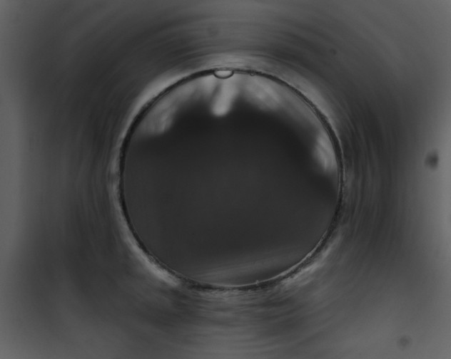 X0000101141045200807181250