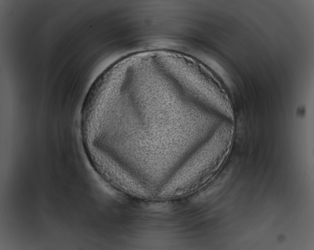 X0000101141047200807181250