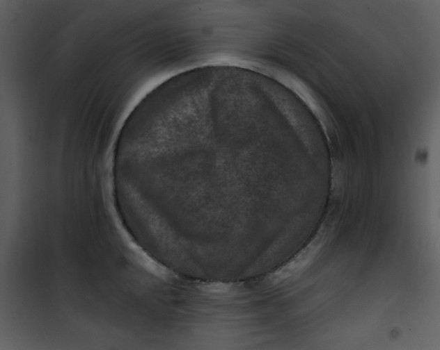 X0000101141048200807181250