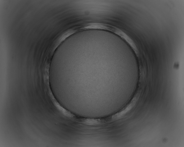 X0000101141049200807181250