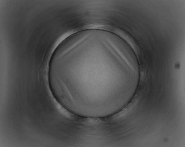 X0000101141050200807181250