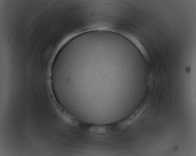 X0000101141051200807181250