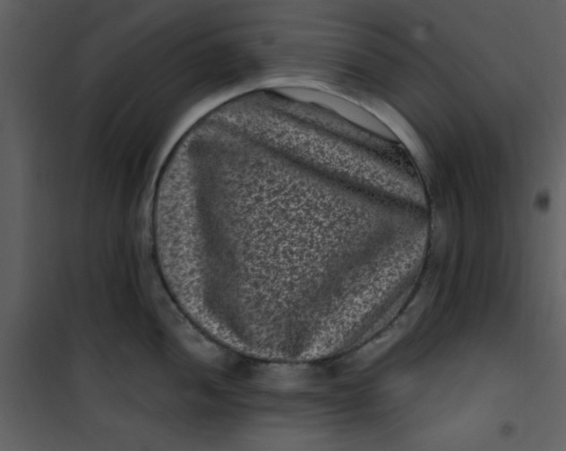 X0000101141052200807181250