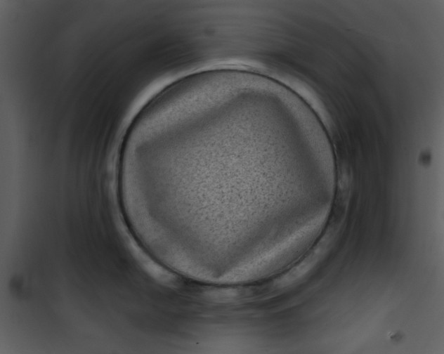 X0000101141054200807181250