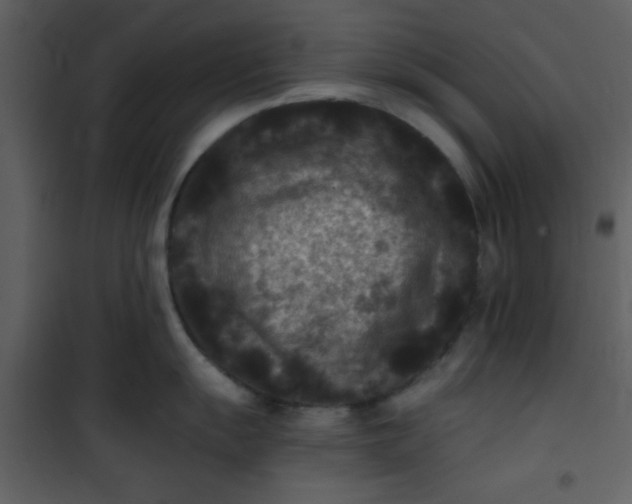 X0000101141055200807181250