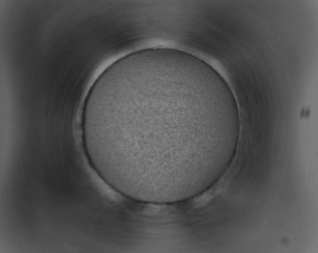 X0000101141056200807181250