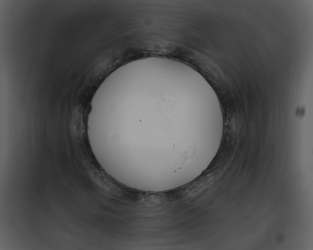 X0000101141058200807181250