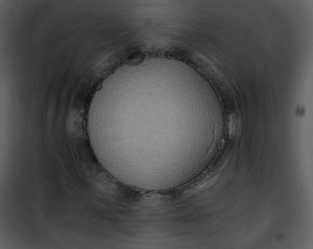 X0000101141059200807181250