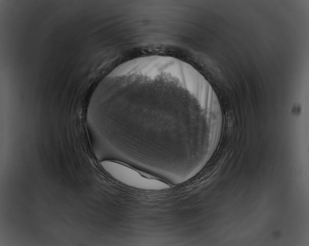 X0000101141060200807181249