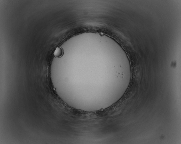 X0000101141061200807181249