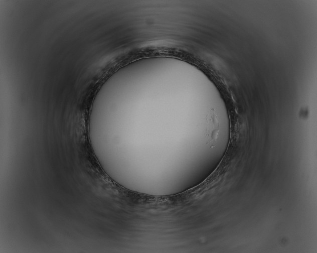 X0000101141062200807181249