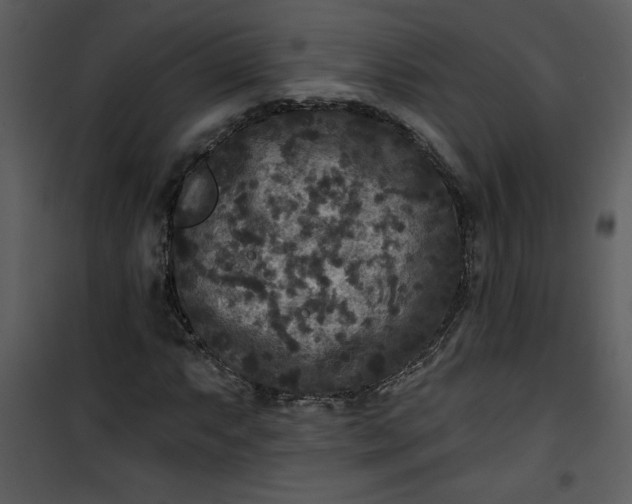 X0000101141063200807181249