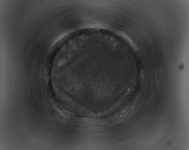 X0000101141064200807181249