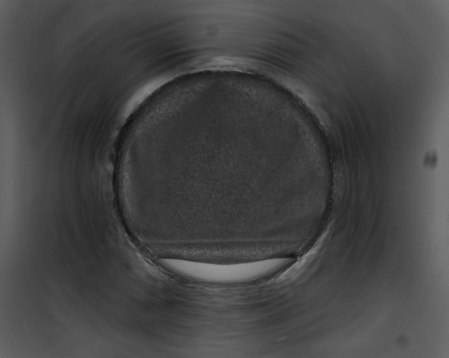 X0000101141066200807181249