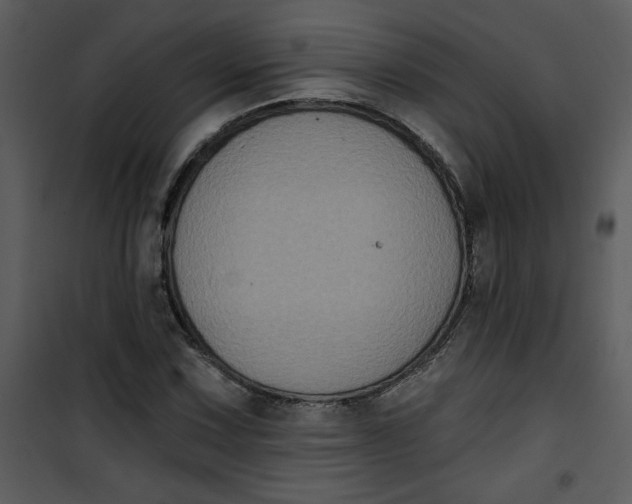 X0000101141067200807181249