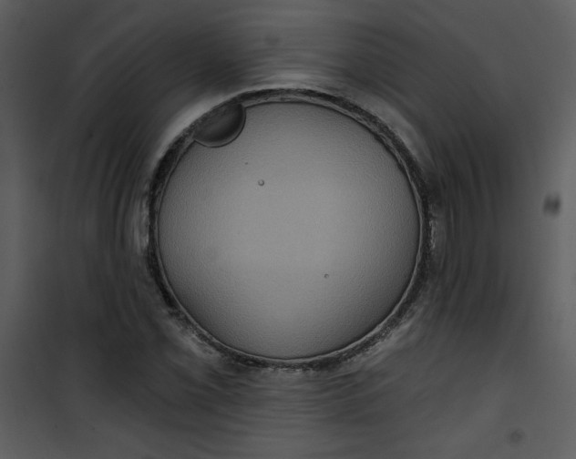 X0000101141069200807181249