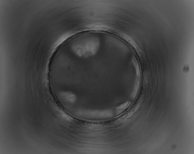 X0000101141071200807181249