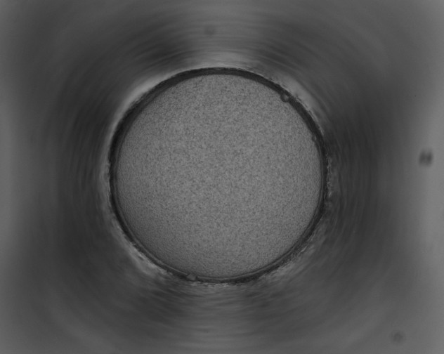 X0000101141072200807181249