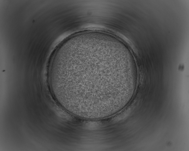 X0000101141074200807181249