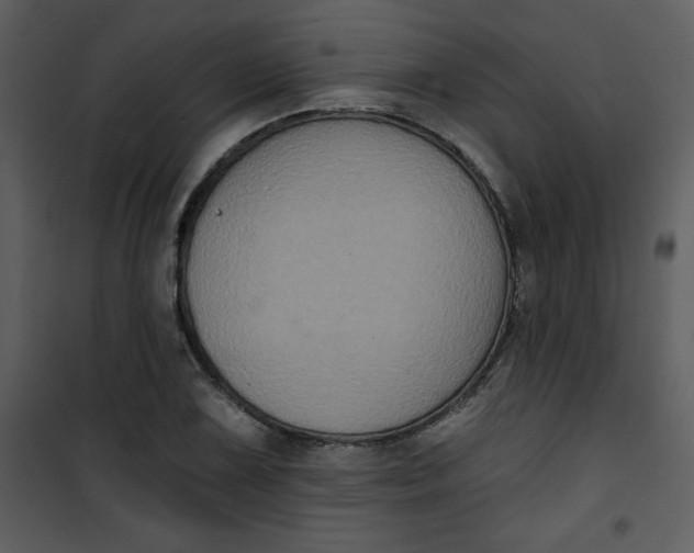 X0000101141075200807181249