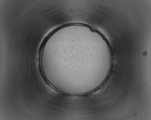 X0000101141076200807181249