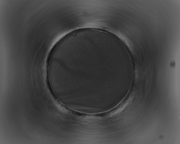 X0000101141077200807181249