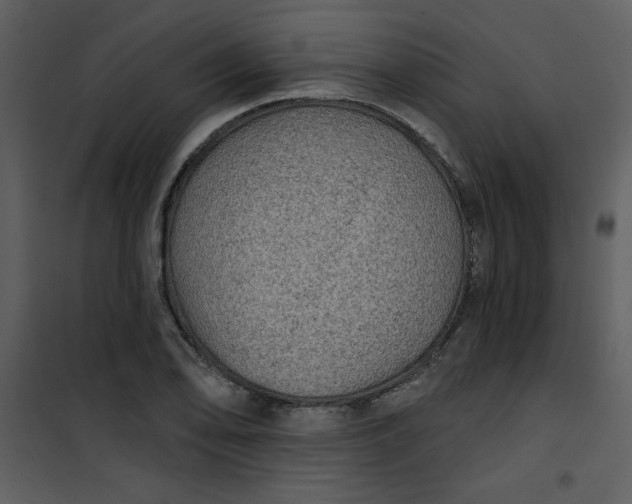 X0000101141078200807181249