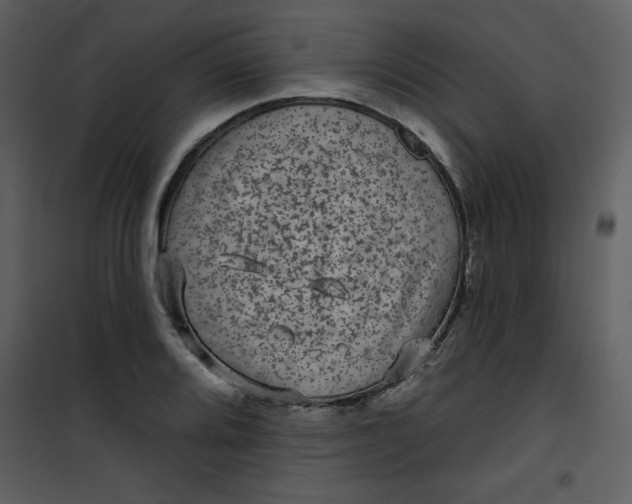 X0000101141080200807181249