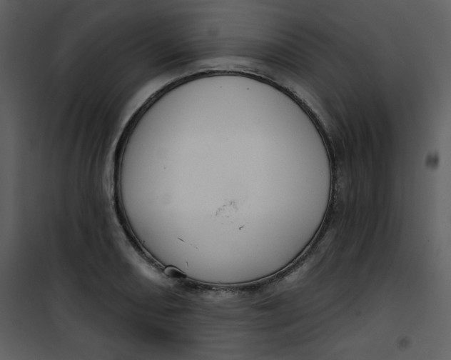 X0000101141082200807181249