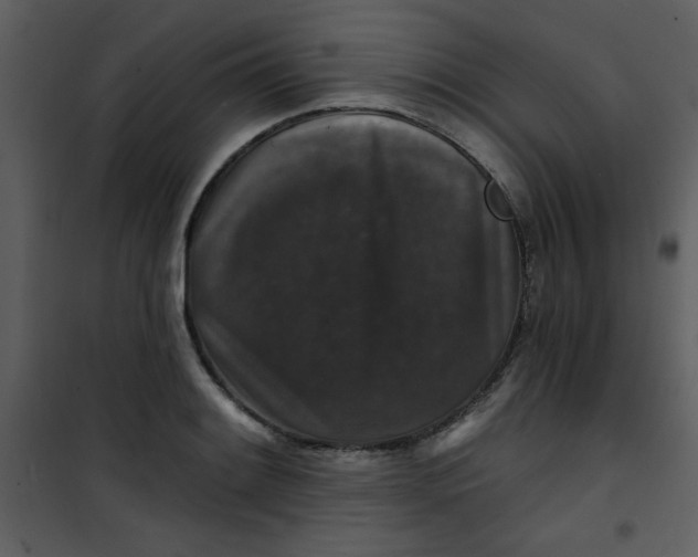 X0000101141084200807181249