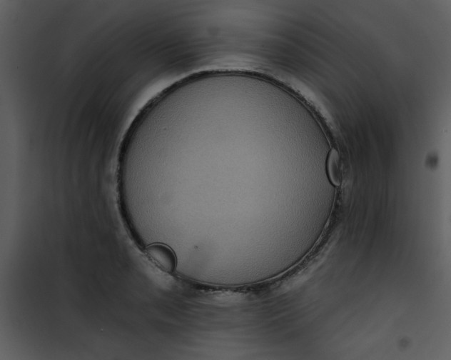 X0000101141085200807181249