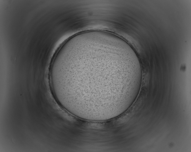 X0000101141086200807181249