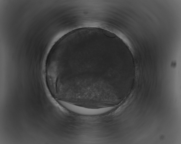 X0000101141088200807181249