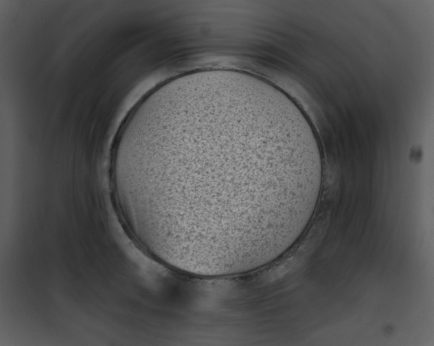 X0000101141090200807181249