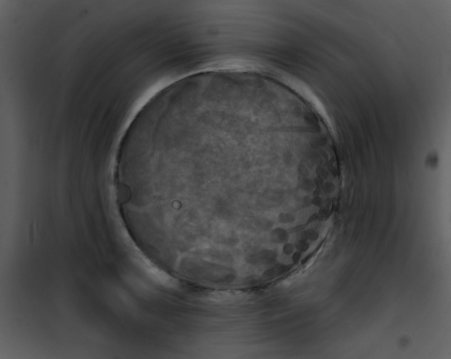 X0000101141091200807181249