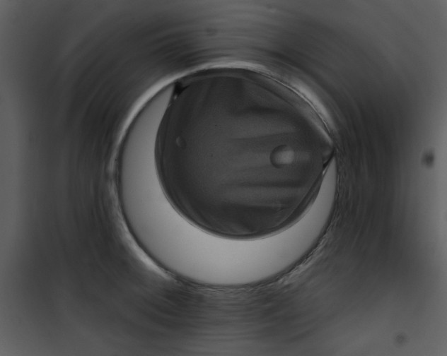 X0000101141092200807181249