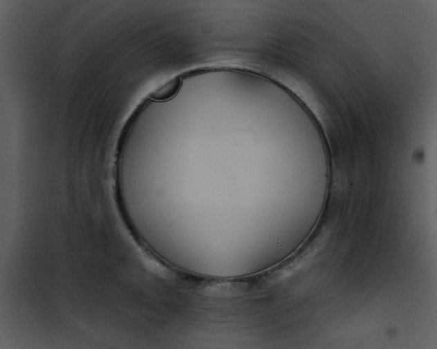 X0000101141093200807181249