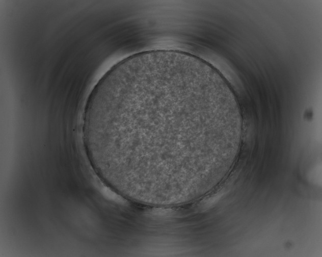 X0000101141094200807181249