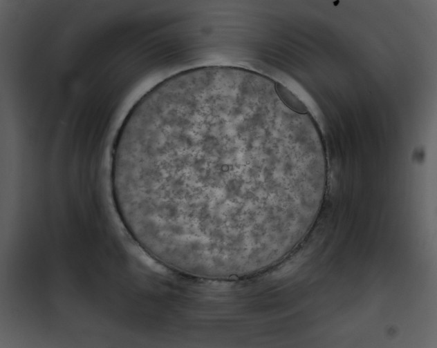 X0000101141096200807181249