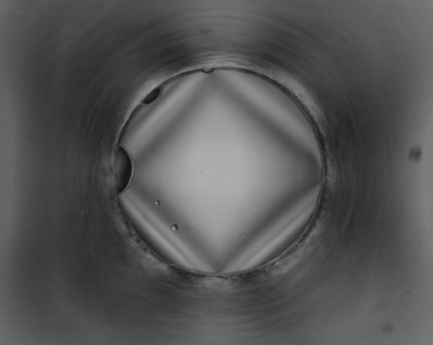 X0000101141097200807181249